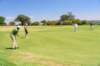 w111presidentsgolfday2017_small.jpg