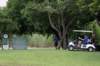 cesagolfday238_small.jpg