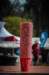 cesa_relay_2018_171_small.jpg
